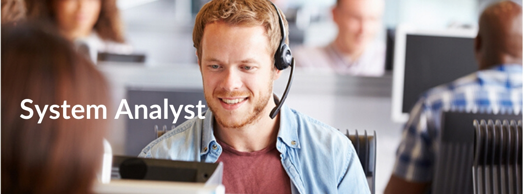 Systems Analyst